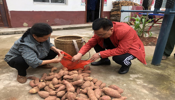 1622428960613073377.jpg 图片2_副本.jpg